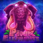 icon-番茄体育体育